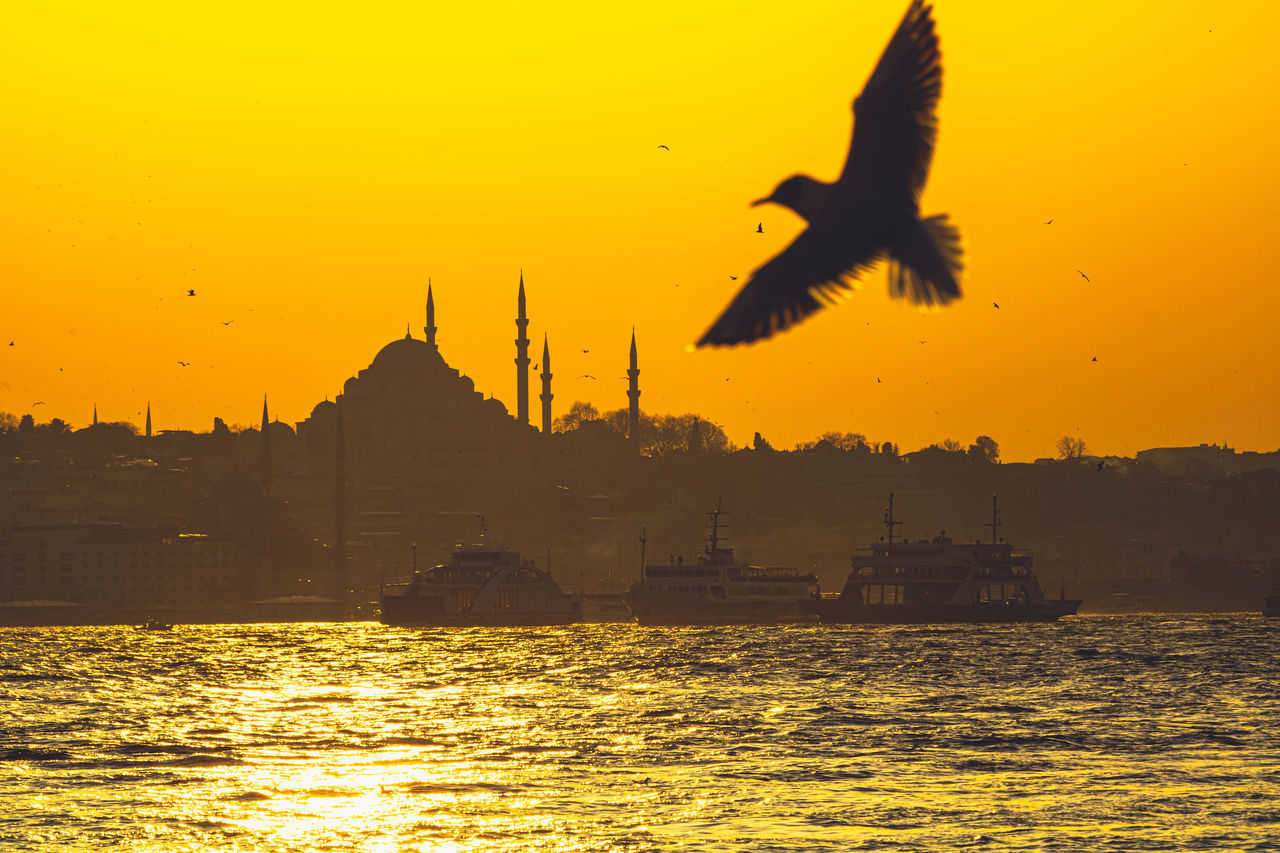 SEAGULL FLYING OVER SEA AGAINST ORANGE SKY