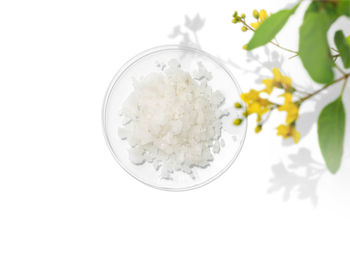 Directly above shot of white flowers in bowl