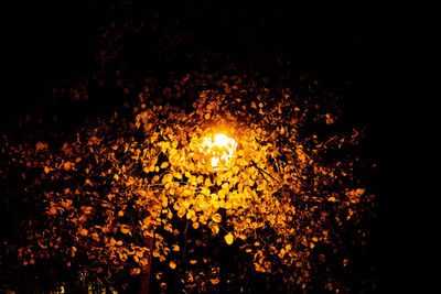 Close-up of lit candle against black background