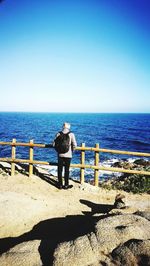 Rear view of man standing on beach against clear sky