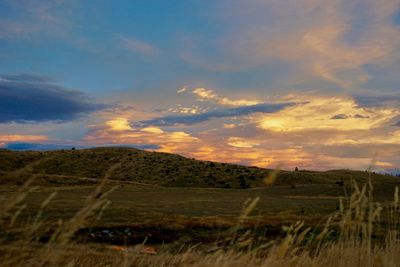 Scenic view of field against sky during sunset