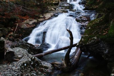 Scenic view of waterfall in forest