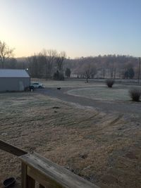 View of trees against clear sky