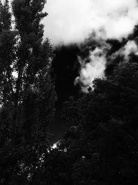 Low angle view of trees against cloudy sky