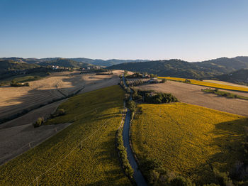 Scenic view of field against clear sky