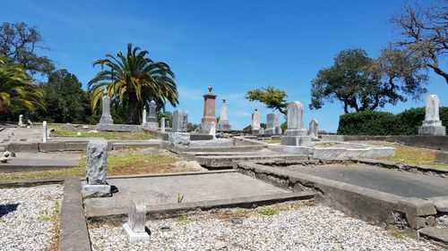 Palm trees in cemetery against sky