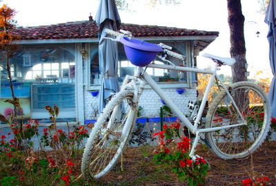 Bicycle parked by tree against building