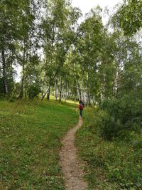 Rear view of person walking on footpath in forest