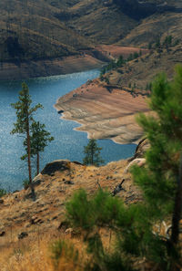 High angle view of river amidst trees