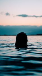 Silhouette of swimming in sea at sunset