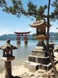 Tori gate, itsukushima shrine, miyajima, water, nature, japan