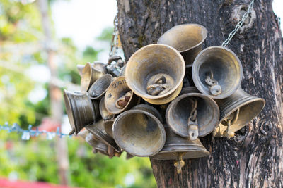 Close-up of stacked bells hanging from tree trunk