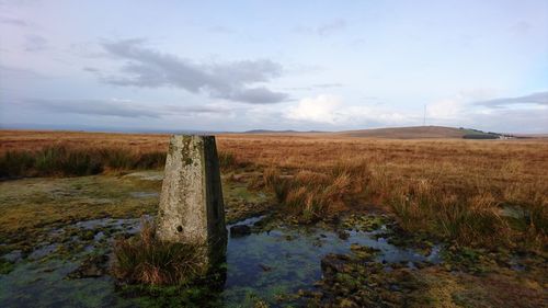 Wooden posts on field against sky