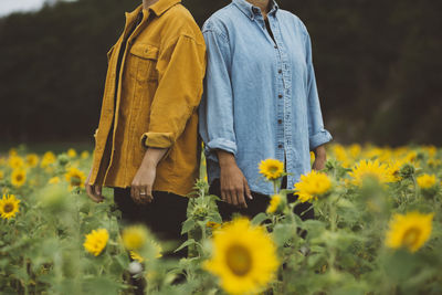 Couple on flowering sunflower field