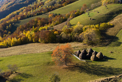 Aerial view of a small countryside homestead and colorful autumn forest. drone point of view