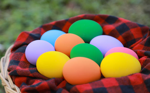 Close-up of multi colored candies