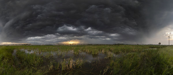 Scenic view of field against cloudy sky