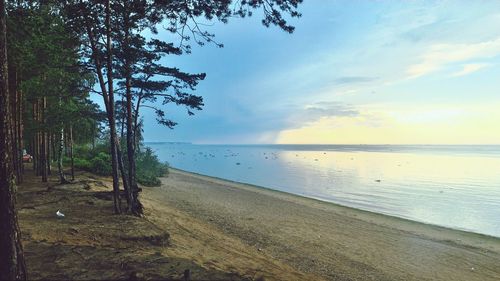 Scenic view of sea against sky