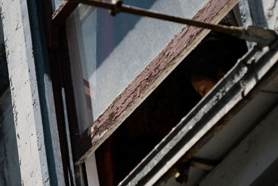 Low angle view of built structure