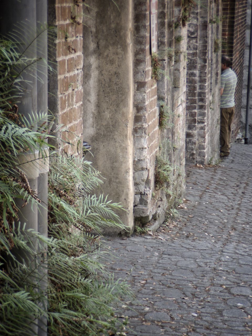 REAR VIEW OF A PERSON WALKING ON FOOTPATH