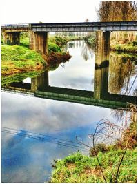 Reflection of trees in river