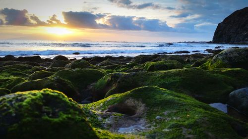 Scenic view of sea against cloudy sky