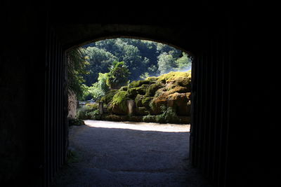 Trees seen through archway