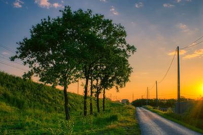 Road amidst trees on field against sky at sunset