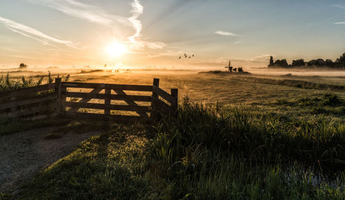 Scenic view of field against sky during sunset