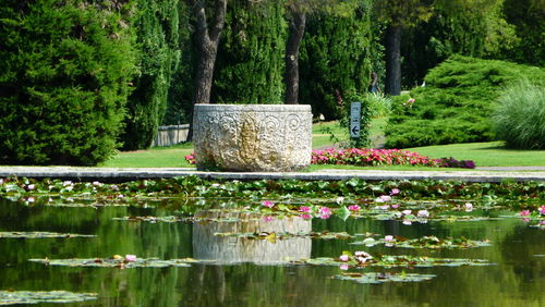 Pond in park