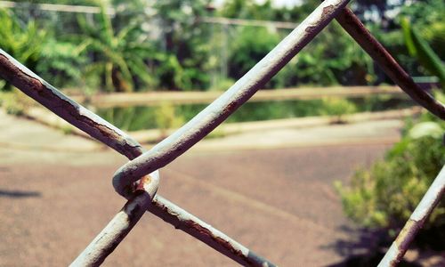 Close-up of chainlink fence