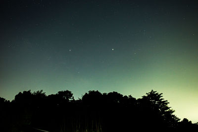 Low angle view of silhouette trees against sky at night