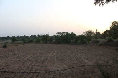 Scenic view of field against clear sky during sunset