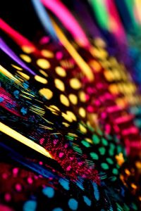 Close-up of colorful light