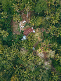 High angle view of water