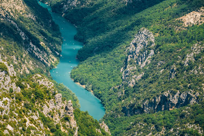 High angle view of trees on mountain