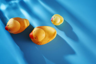 Family of yellow rubber duck against blue background