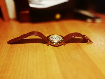 Close-up of crab on table