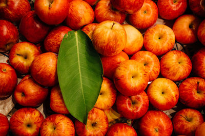 Full frame shot of apples