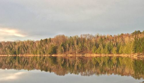 Reflection of trees in lake against sky