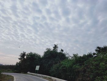 Low angle view of trees against sky