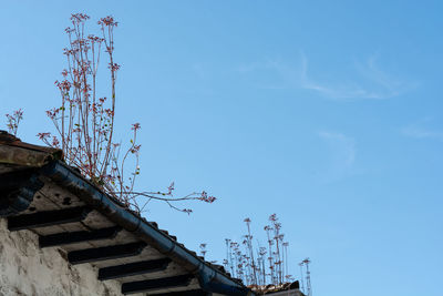 Low angle view of building against sky