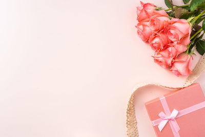 Close-up of pink rose against white background