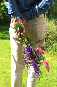 Midsection of person holding lavender standing on field