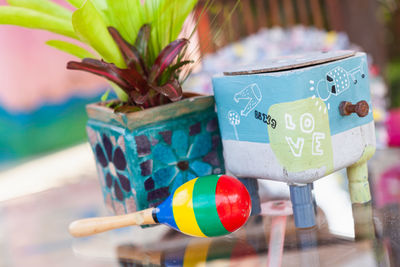 Close-up of potted plant on table