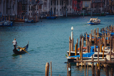 Man sailing on wooden post in canal