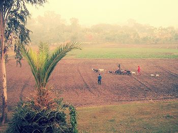 People walking on grassy field