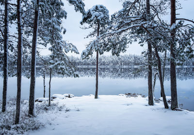 Trees on snow covered landscape against sky