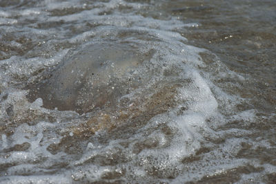 High angle view of surf on beach