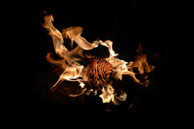 Close-up of bonfire at night